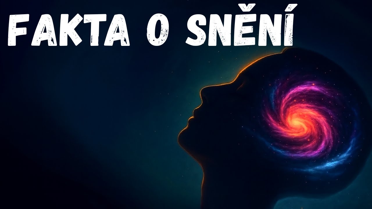 Nejuvolňuj&iacute;c&iacute; Fakta O Sněn&iacute; Na Usnut&iacute;