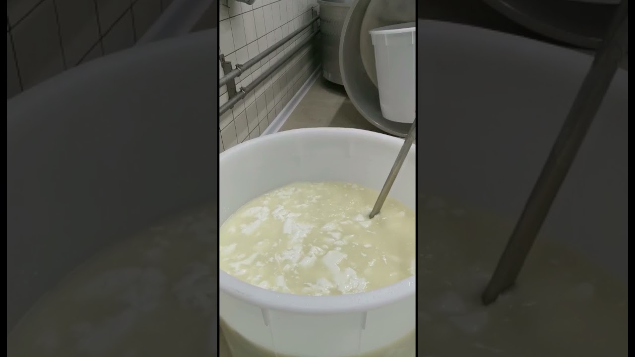 burrata fait a main lait de vache