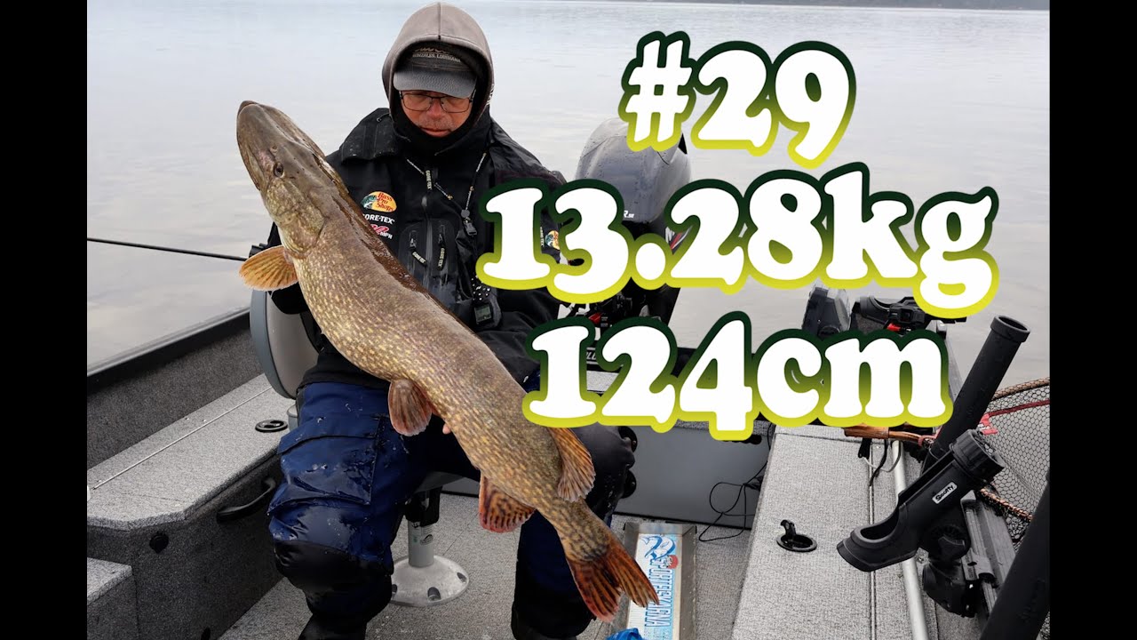 Gädda 10kg+ del 29, 13.28kg