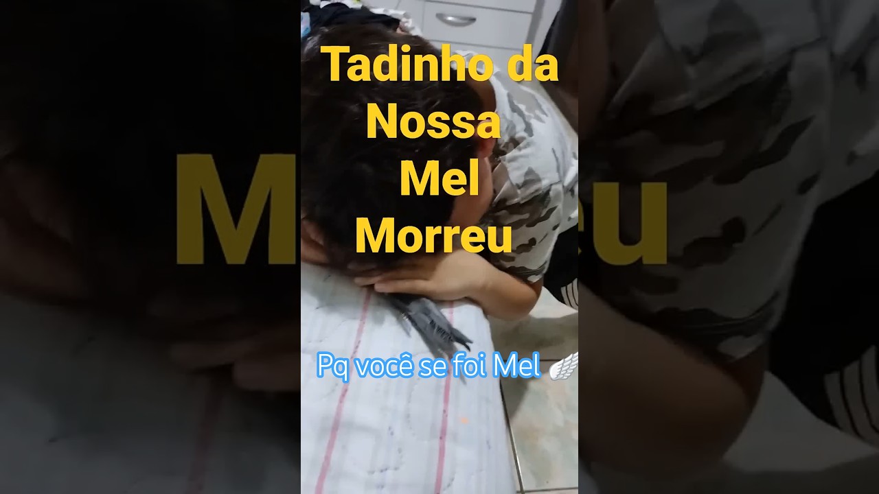 Minha Calopsita MORREU #morte #Mel #calopsita #riodejaneiro #aves #passaros #pets