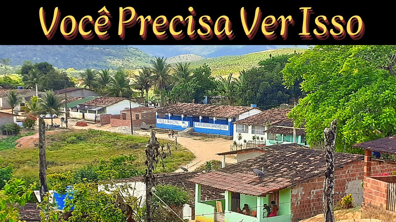 Engenho Couceiro │Palmares