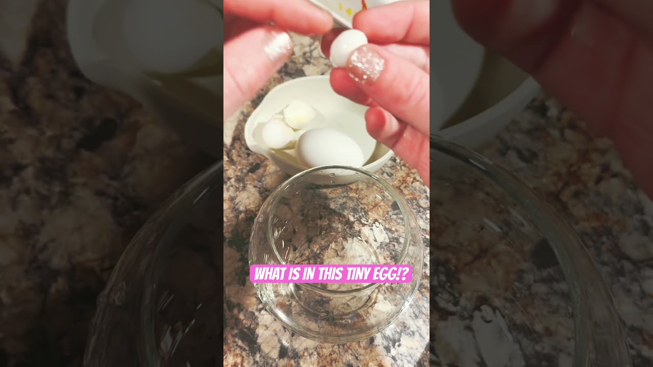 3 eggs 1 chicken! Let's crack these things open!!! #chickens #eggsnthings #eggs #backyardchickens
