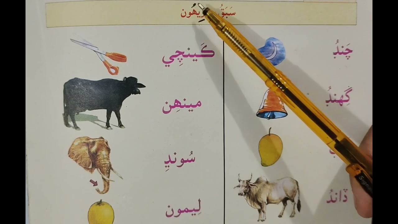 Lesson no.24 of Sindhi Barano Kitab | Reading Activity |