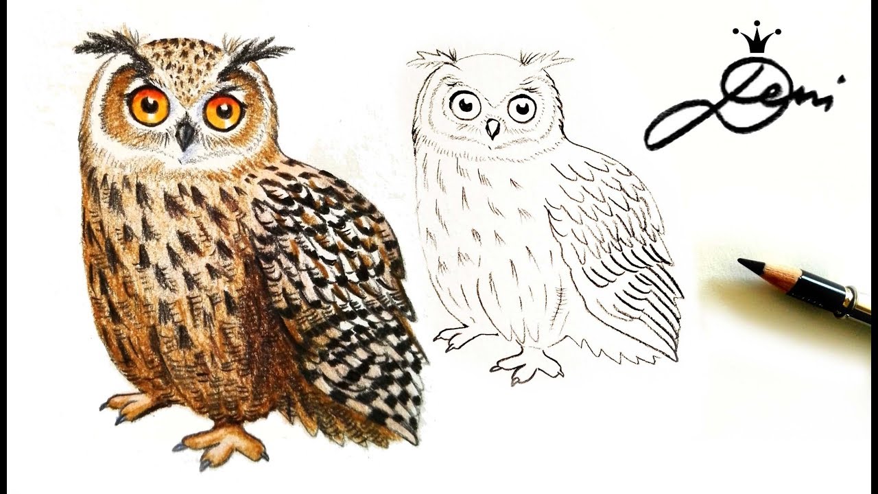 🦉 Uhu zeichnen lernen 🦉 How To Draw An Eagle Owl For Kids 🦉 как се рисува бухал 🦉 Hibou 👍🏻 Búh
