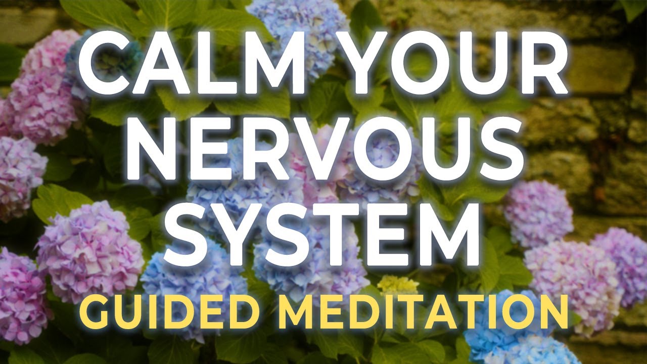 Overstimulated? Reset Your Nervous System (9-Minute Guided Meditation)