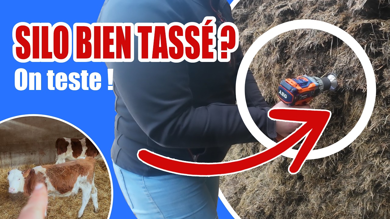 POURQUOI fait on un ​🥕​Carottage🥕​ de silo ? + corn gluten #agriculteur  #vieàlaferme  #vaches
