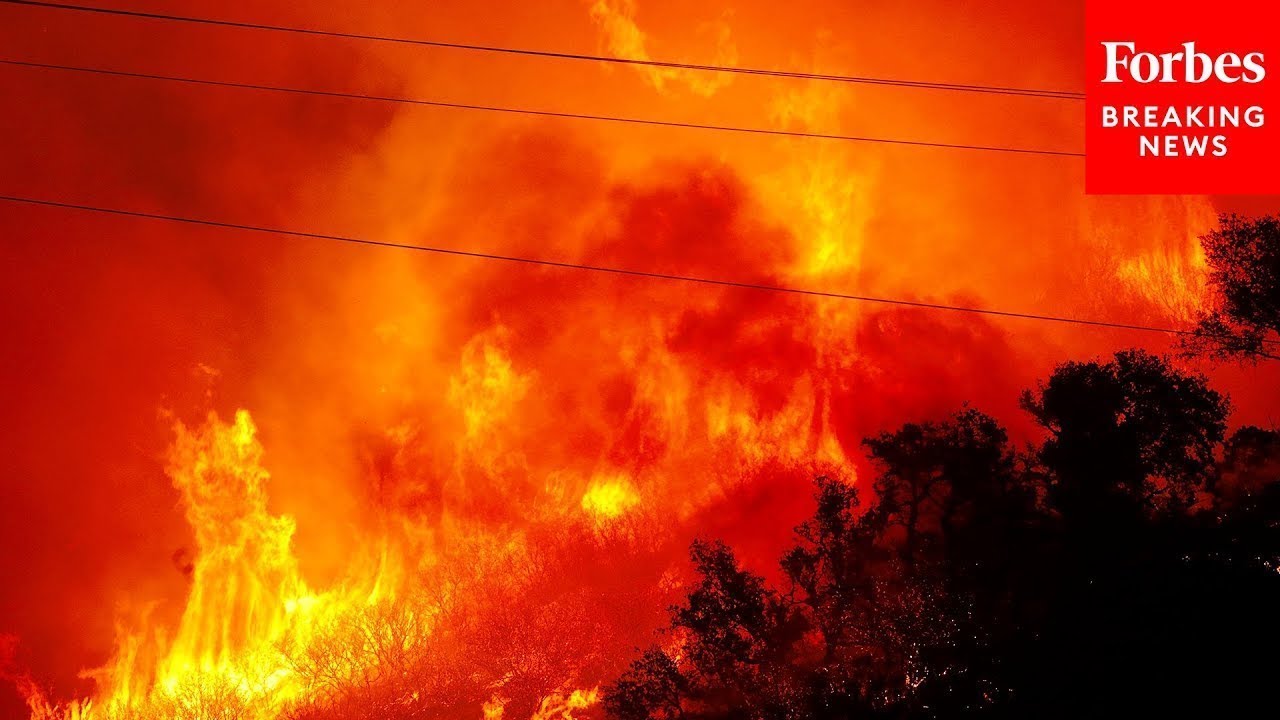 Climate Change Could Drive Wildfire Risk Up 50% By End Of Century, UN Warns