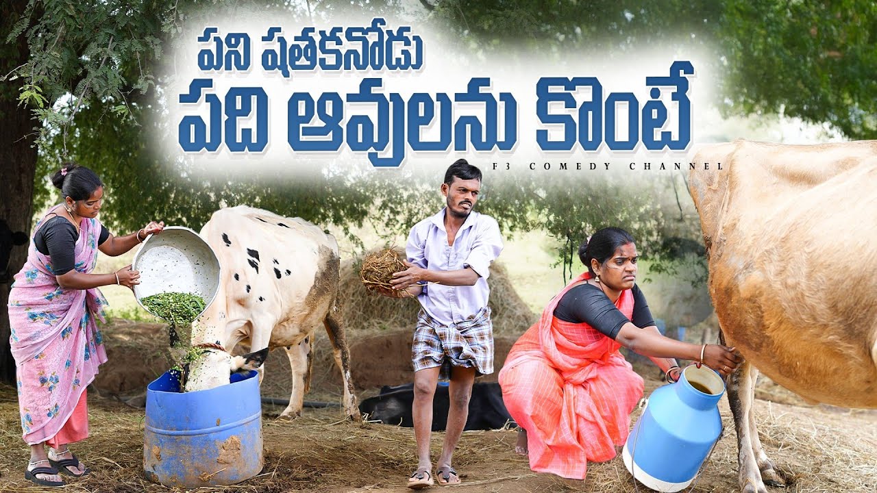 పని షతకనోడు పది ఆవులను కొంటే | wife and husband village comedy | telangana village short film