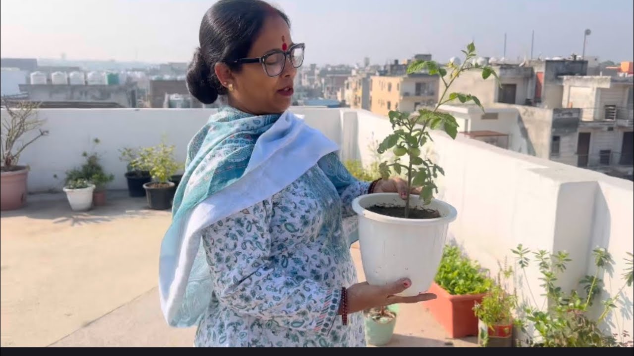 Let turn our backyard into a food forest 🌳//aj ki gardening humare sath 😋😋