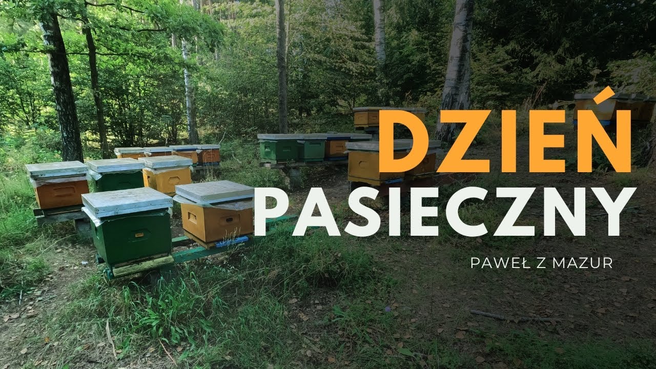 Dzień pasieczny