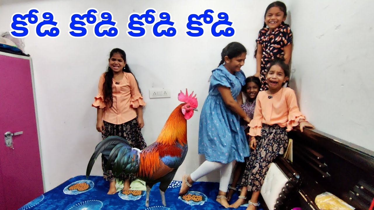 కోడి కోడి కోడి కోడి || ఈ ఆట బాగుంది కోడి తోని || మీరు try చేయండి ఇంట్లో ఎవరైనా మాట వినకపోతే