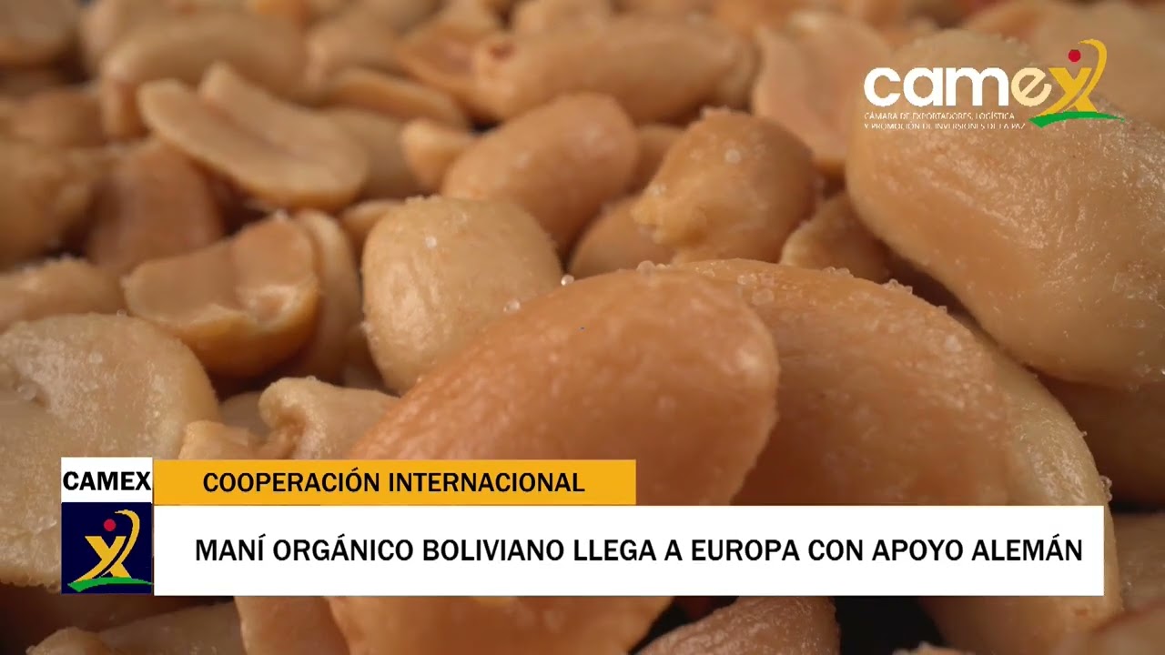 NOTICIAS CAMEX-Noticias 20 de febrero 2026