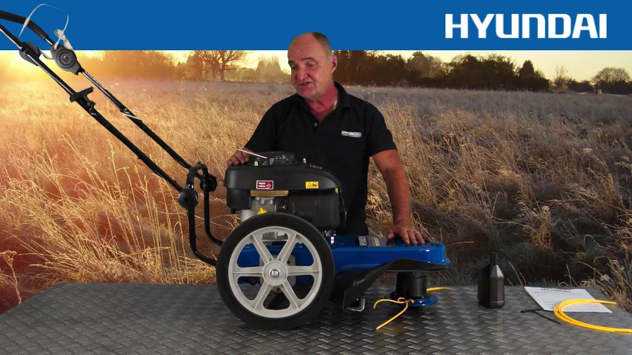Hyundai Petrol Push Field Grass Trimmer / Strimmer HYFT56 Unboxing,  Assembly & In Use