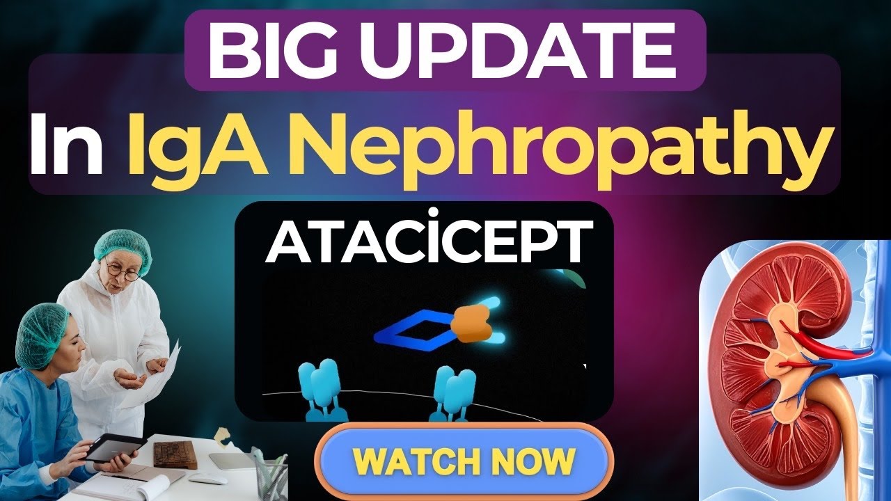 New Treatment for IgA Nephropathy #ckd #kidneytransplantation #kidneydisease 