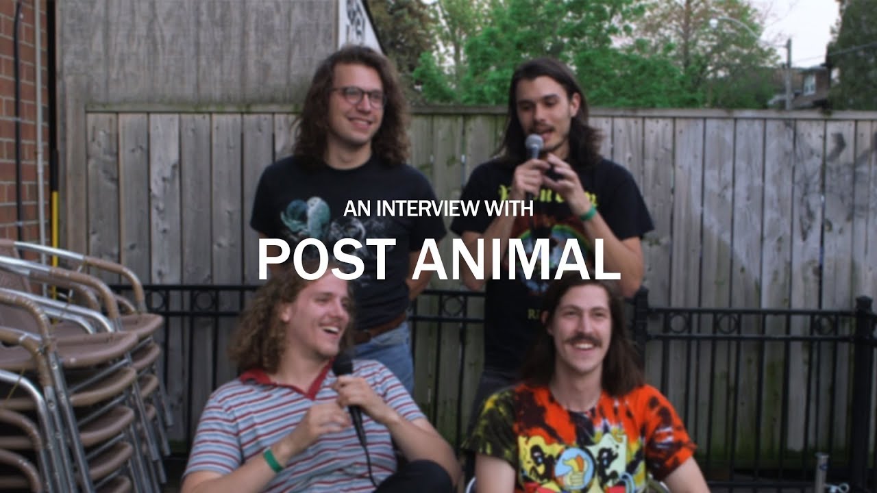 An Interview with Post Animal