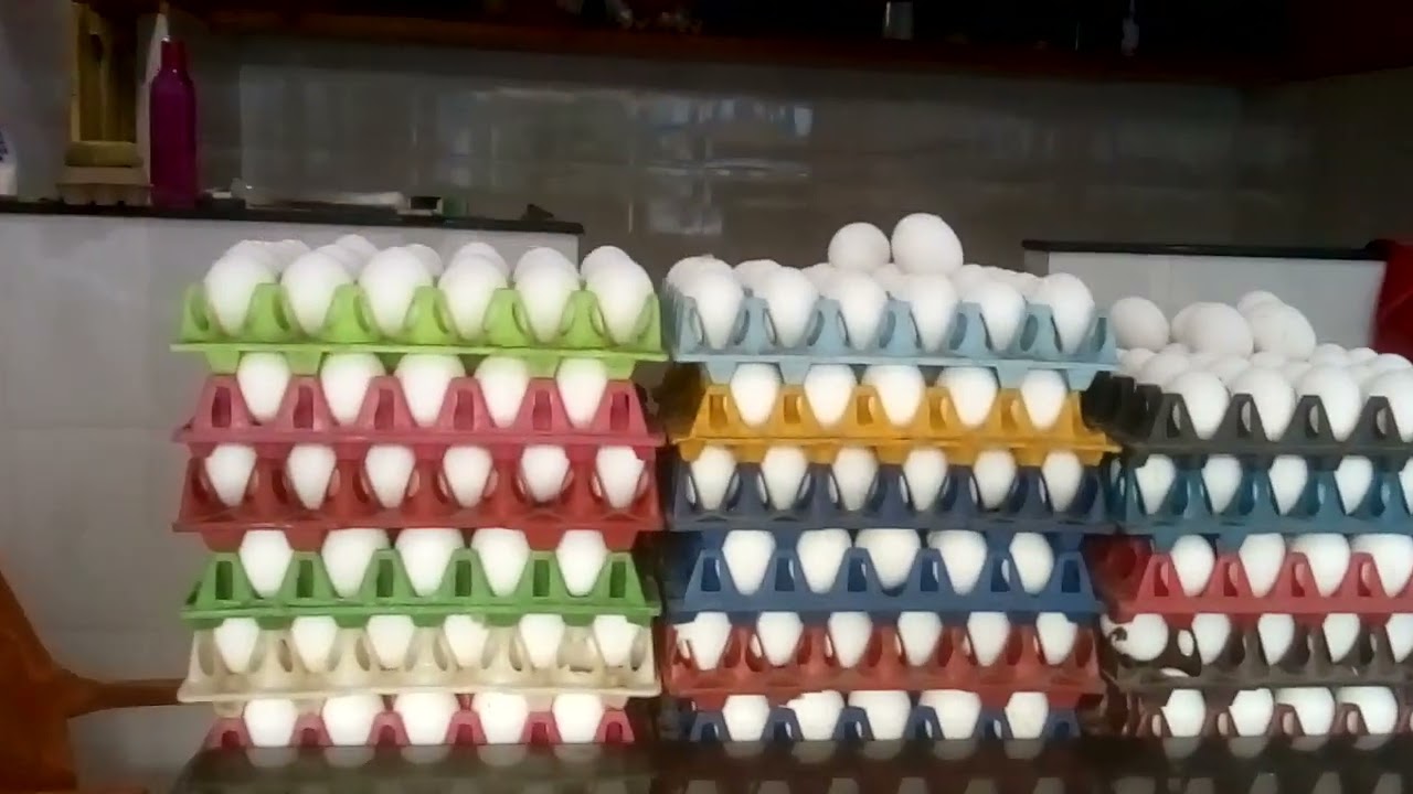 Wholesale Chicken 🐔 Market whole sale & Retail Kalyan Puri colony Uppal Hyd call:9550560514