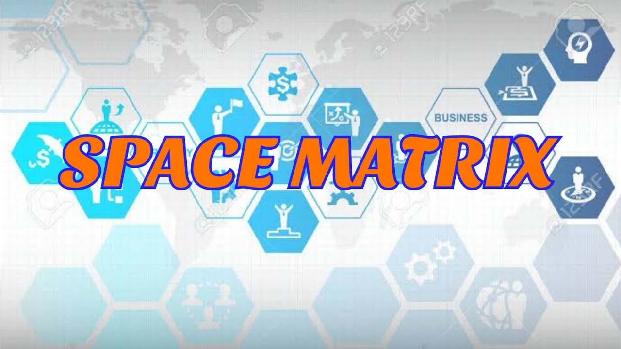 SPACE Matrix
