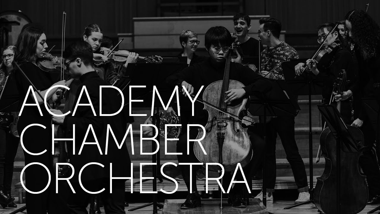 Academy Chamber Orchestra performs Beethoven's Symphony No 8 in F, Op 93 with Lorenza Borrani