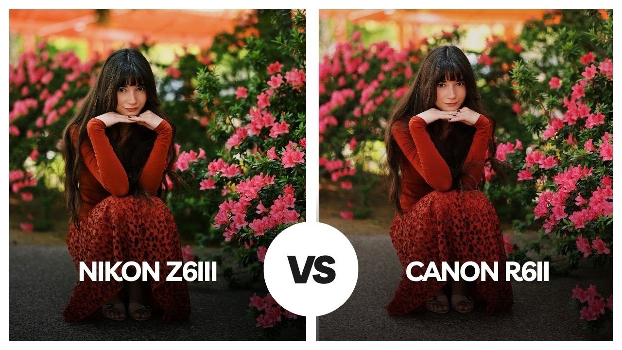 Blind Test: Nikon Z6iii vs Canon R6ii (Can you guess all correctly?)