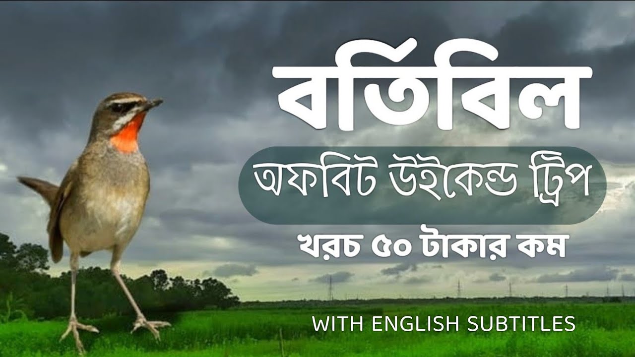 Bortibil | Offbeat one day trip | Bortibil Neelgunj | Birds of Bortir bill