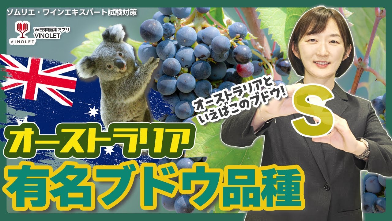 #15  オーストラリアの有名ブドウ品種！【ソムリエ・ワインエキスパート試験対策】