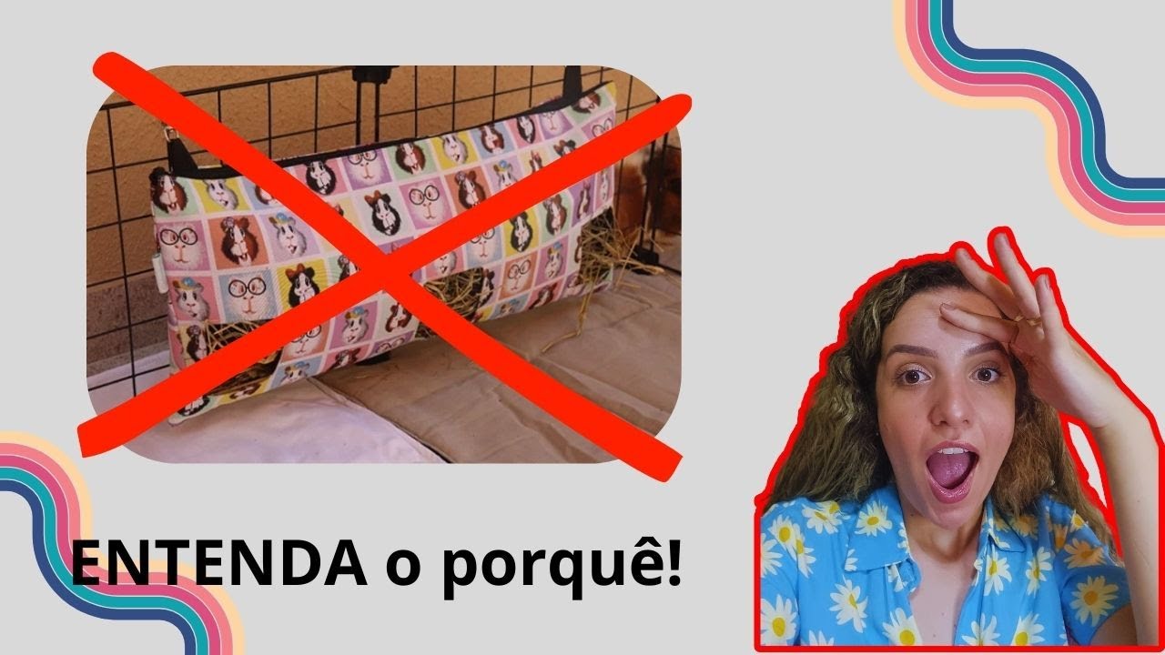 NÃO USE PORTA FENO DE PANO NO CERCADO DOS SEUS PORQUINHOS DA ÍNDIA! ⚠️⚠️⚠️