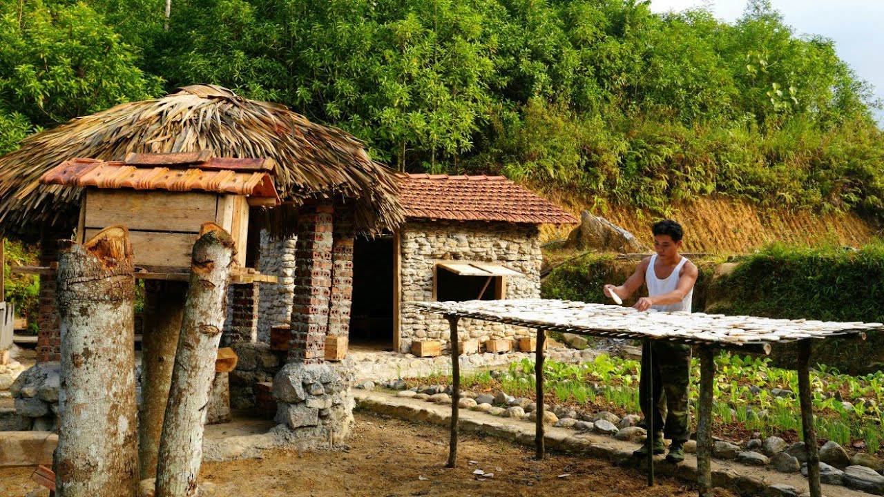 Taro Harvesting and Preservation Process - Build farm life in the forest
