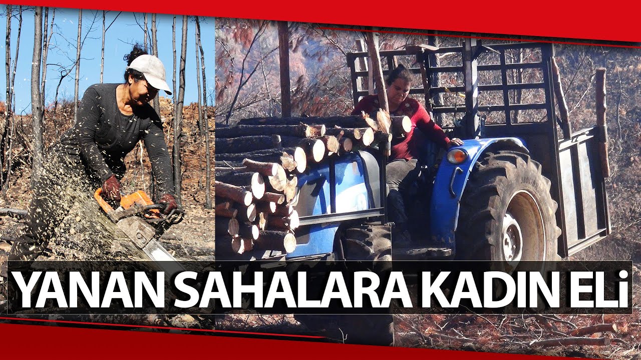 Kadın Orman İşçileri Kara Tablonun Yeşile Dönmesi İçin Çaba Harcıyor
