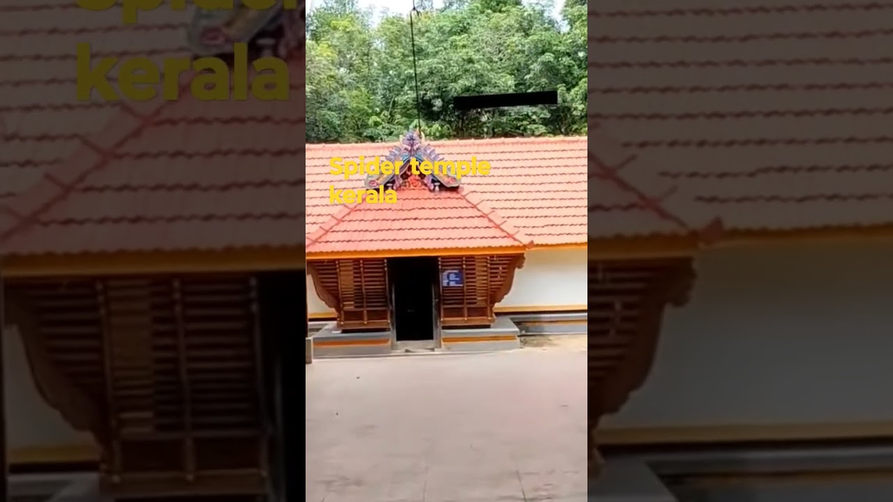 Spider temple kerala