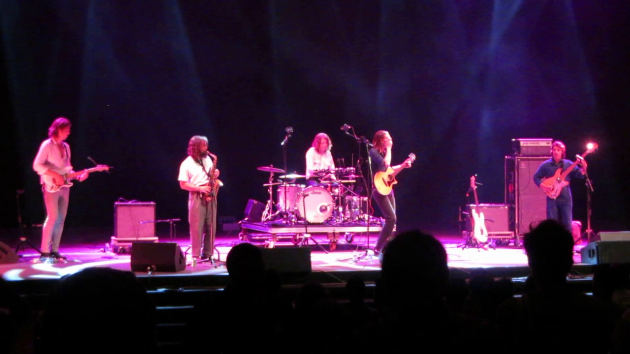 Alex Cameron - The Chihuahua @ Primavera Sound 2017