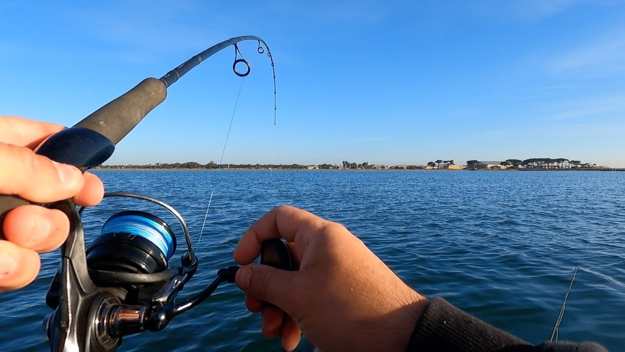 Port Philip Bay Trifecta (Squid, Snapper, Flathead)
