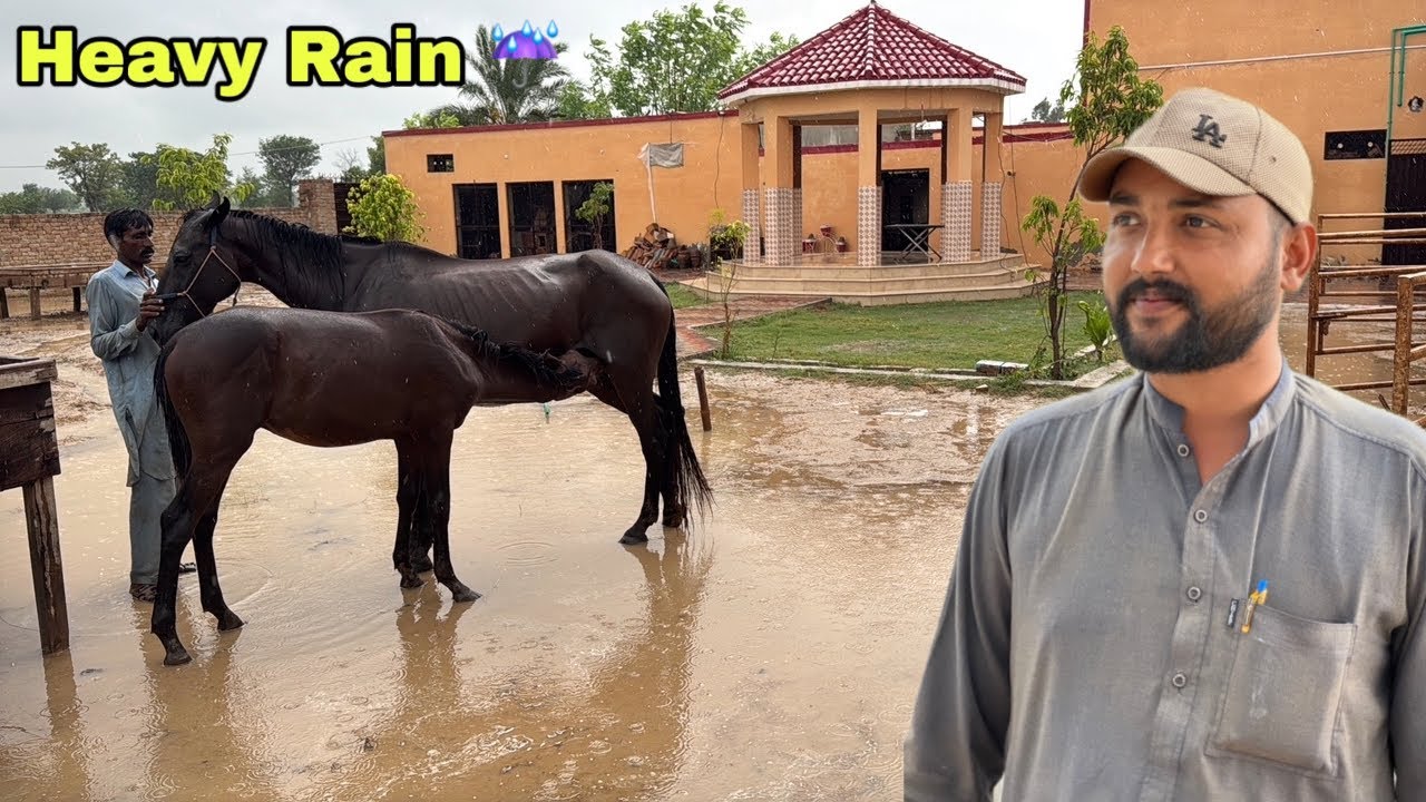Barish Nhi Ruk Rahi Flood Ka Khatra 