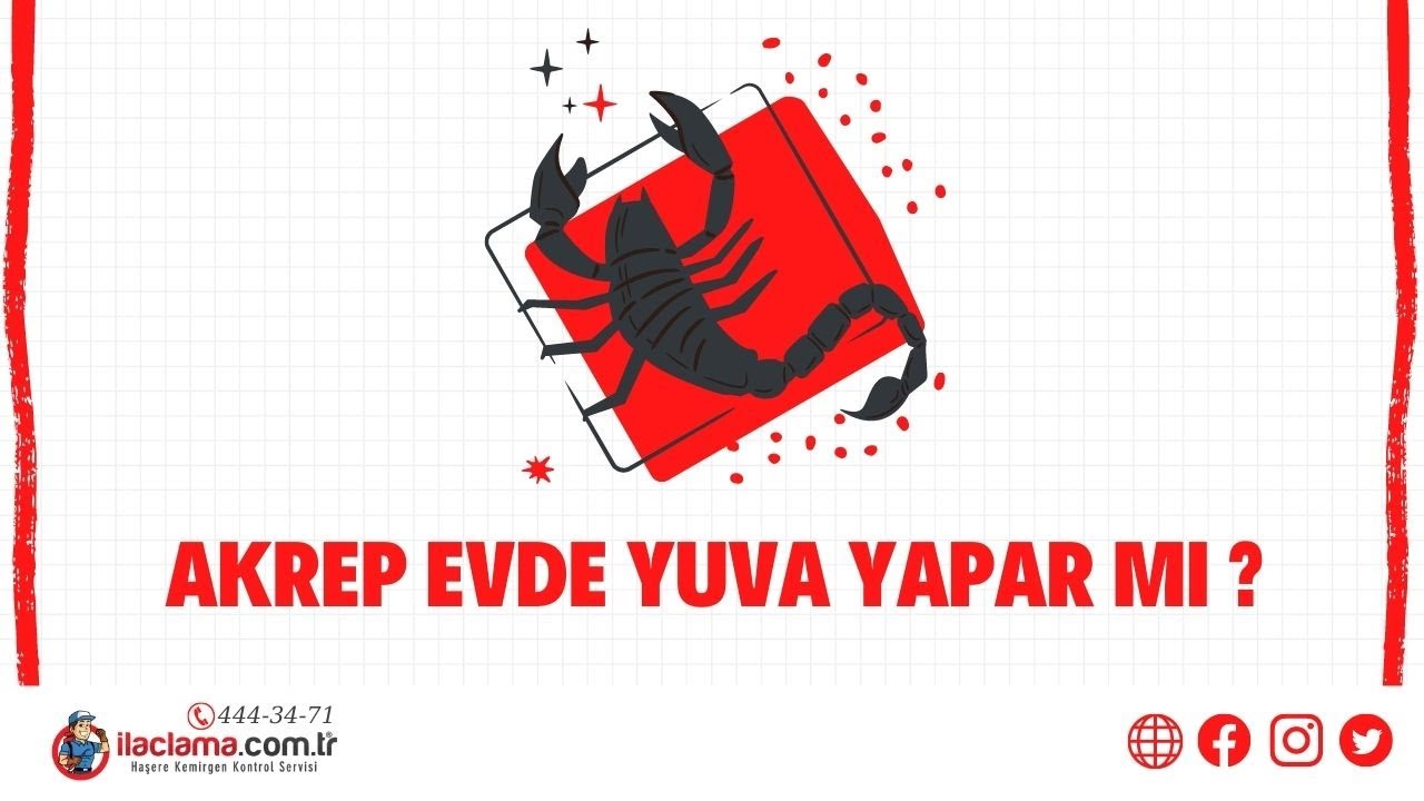 Akrep Evde Yuva Yapar mı ? -ilaclama.com.tr