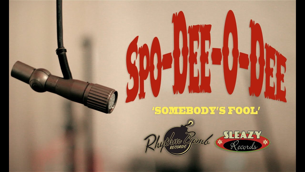 Spo-Dee-O-Dee 'Somebody's Fool' RHYTHM BOMB/ SLEAZY RECORDS (official music video) BOPFLIX