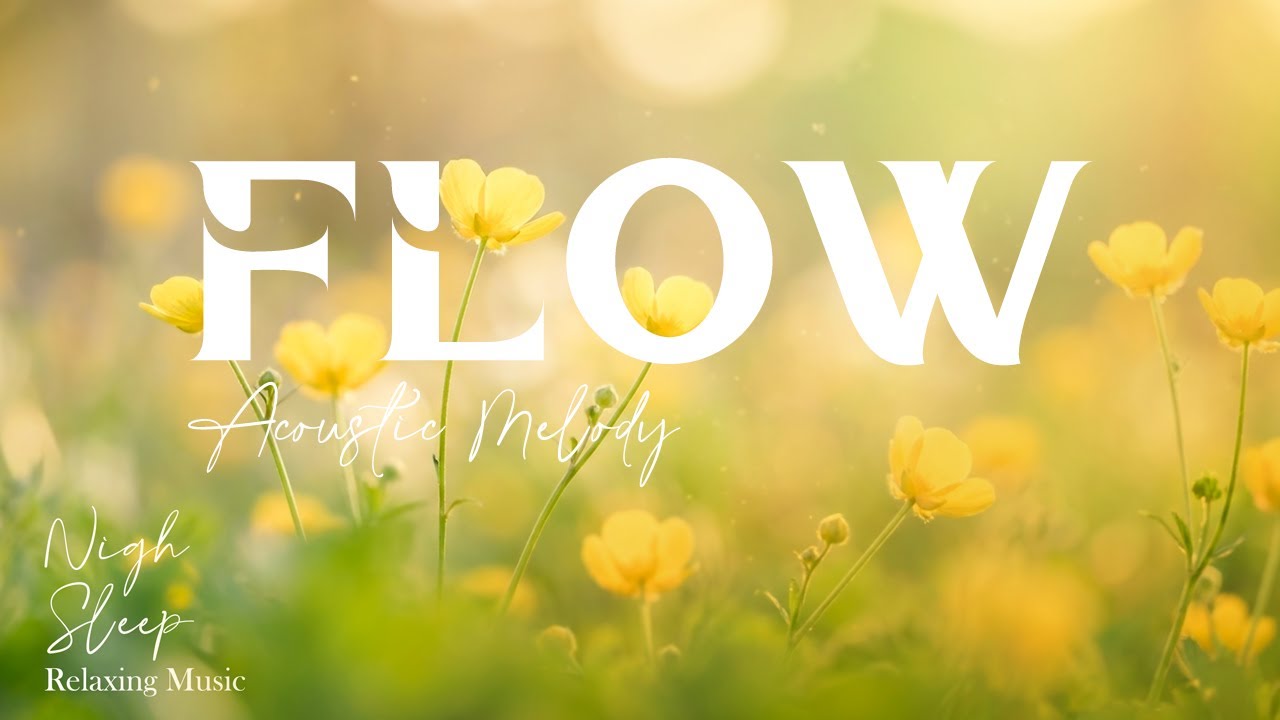 Soothing Acoustic Melodies 🍂🍁🏵️Piano and Guitar for Better Sleep and Meditation
