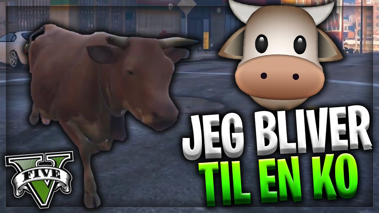 JEG BLIVER TIL EN KO! - DANSK GTA 5 RP FIVEM