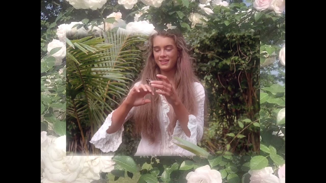 Look like Brooke shields affirmations ୨୧