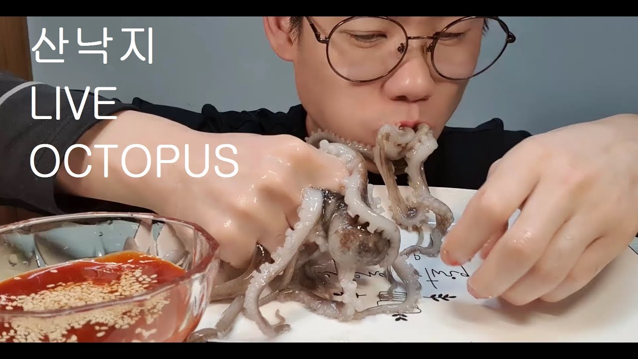 산낙지 리얼사운드 먹방 Live octopus mukbang eating show