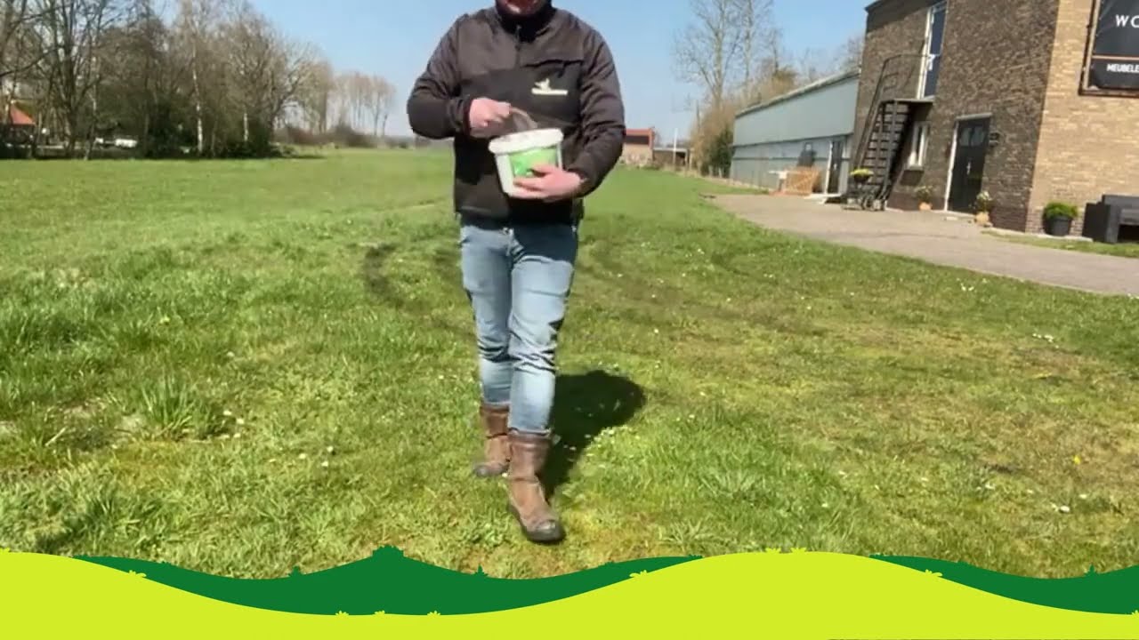 Last van mos in het gras?