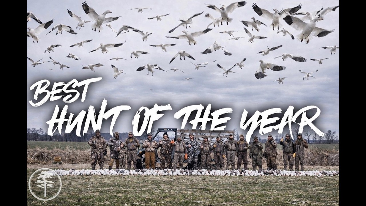 Snow Goose Hunting- The 100k FEED!