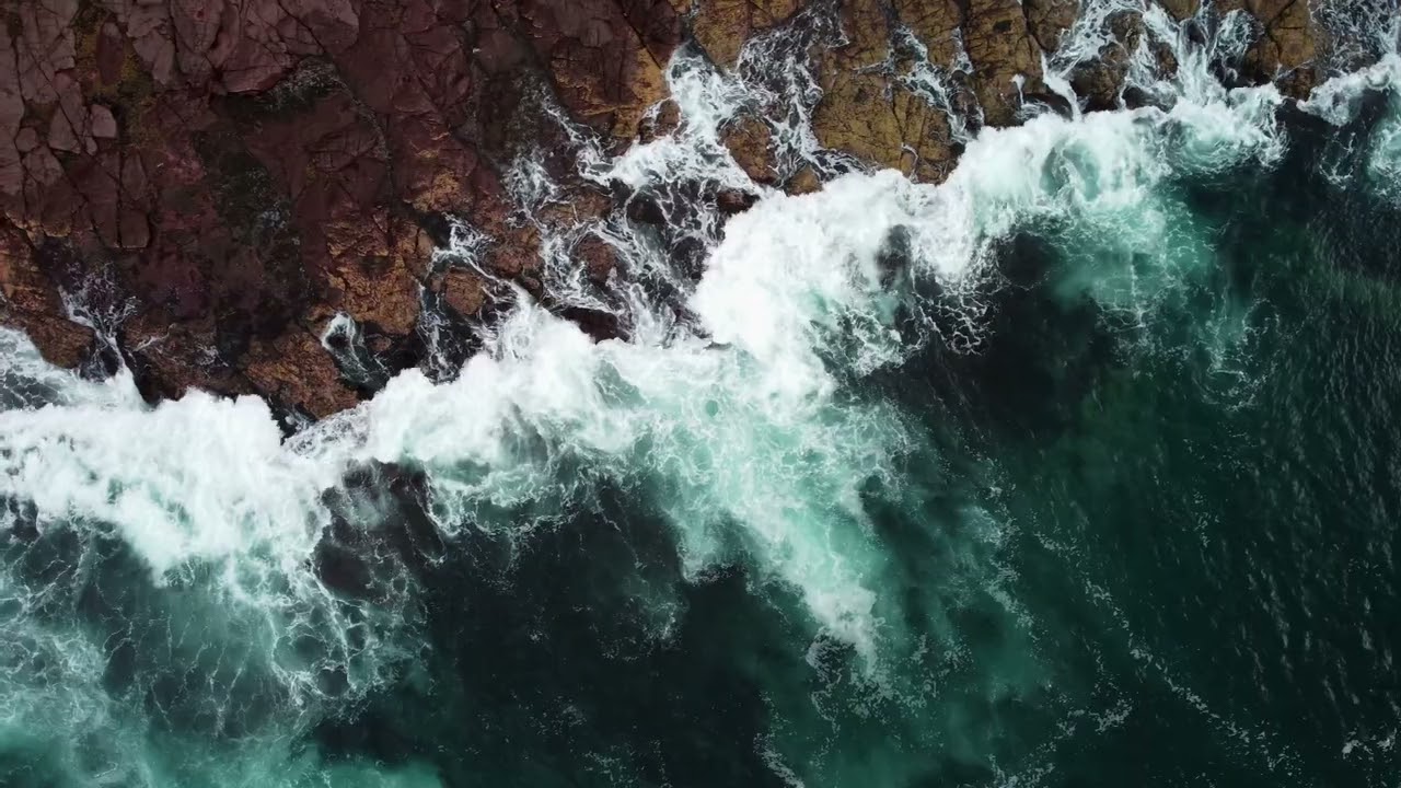Whale Watching from Bass Point, Shellharbour near Wollongong