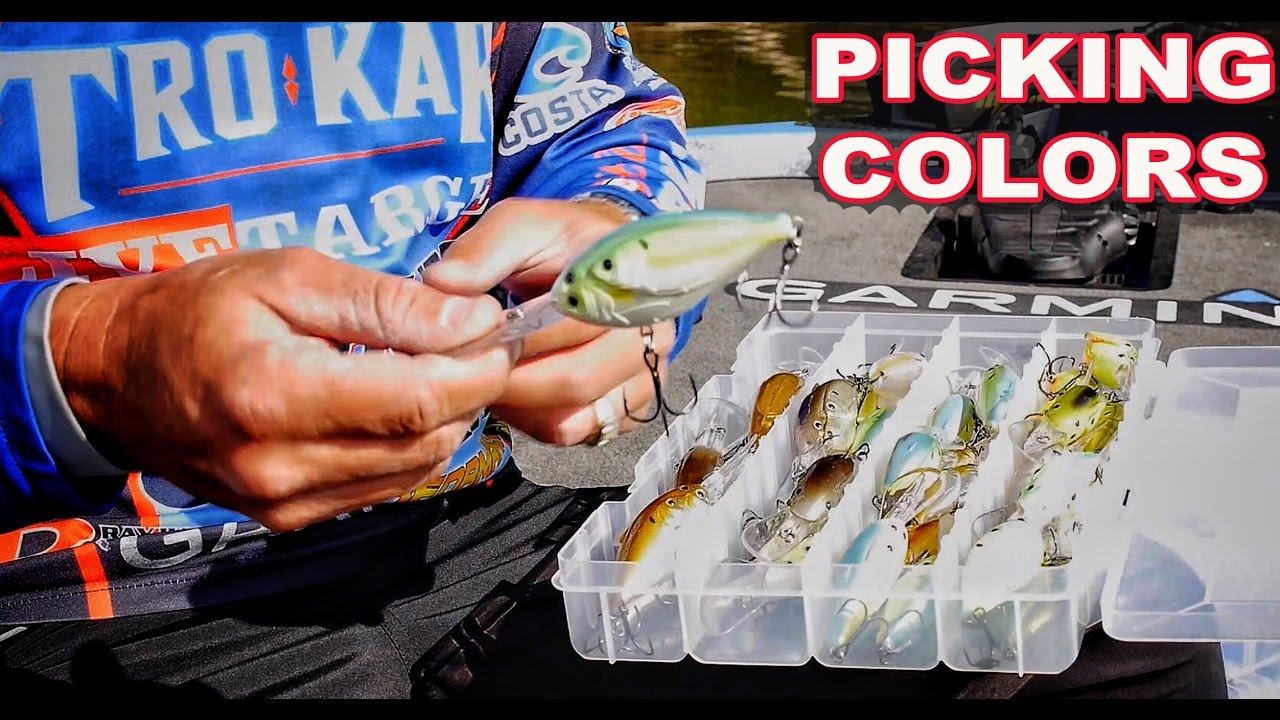 Save Money - How to choose the right color crankbaits for Bass Fishing - Instructional Series
