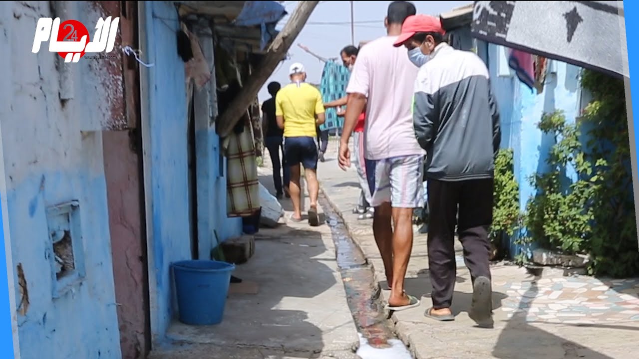 معاناة بطعم العلقم لقاطني دوار كريسطال مع الحشرات والجرذان