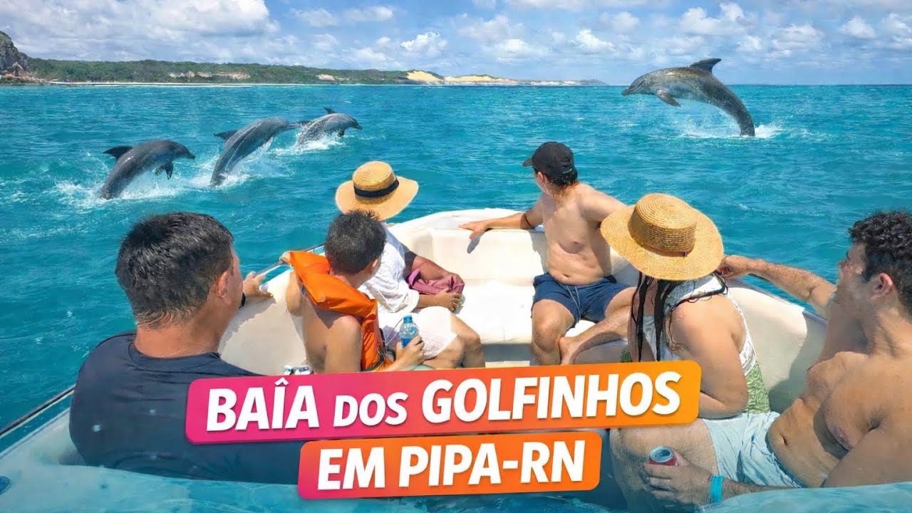 Vimos golfinhos na cidade de Pipa-Rn, e ainda nadamos na Baía dos Golfinhos!🐬 🥹