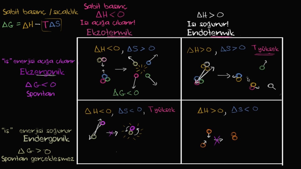 Endergonik, Eksergonik, Ekzotermik ve Endotermik Tepkimeler (Biyoloji / Enerji ve Enzimler)