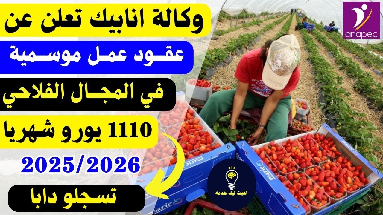 وكالة انابيك تعلن عن عقود عمل موسمية 🔥151 عامل وعاملة في المجال الفلاحي بالدول الاوروبية 2025/2026