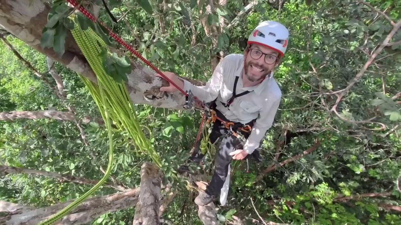 Nicolas Moulin, entomologiste & Matias Loubes, grimpeur d'arbre - Partie 4