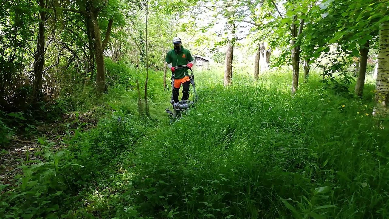 A Day of OVERGROWN GRASS Cutting and Clearing