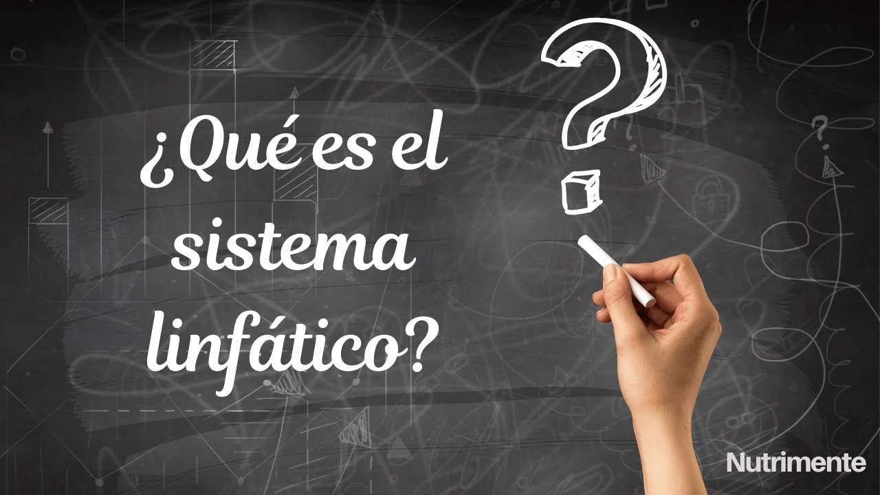 Sistema Linfático: Funciones y Relación con la inmunidad