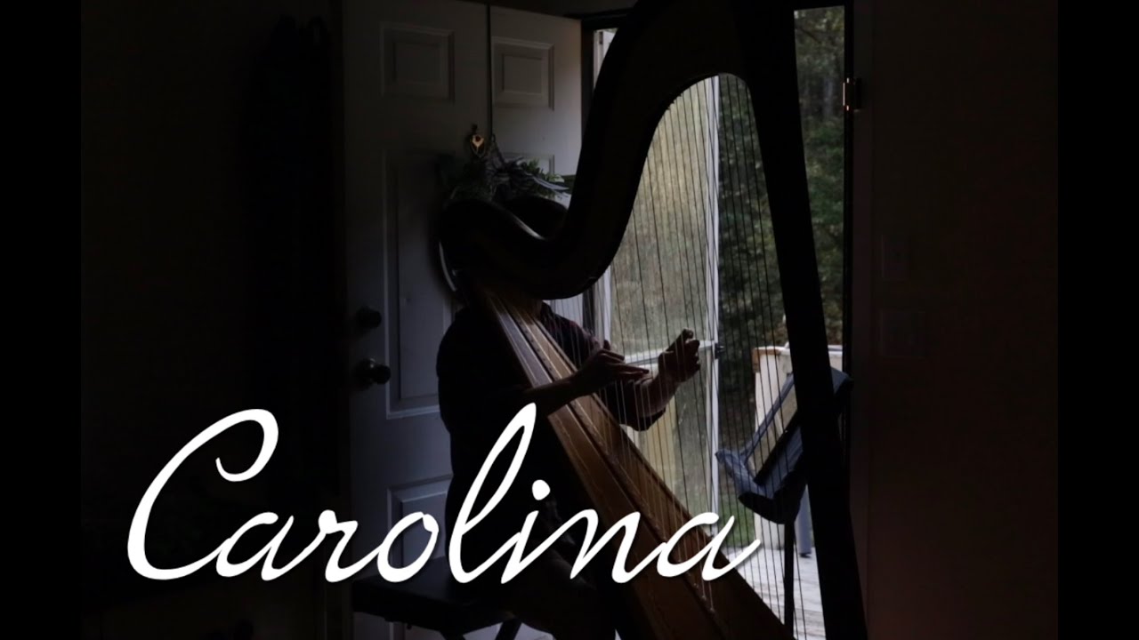 Taylor Swift Carolina Where the Crawdad's Sing Acoustic Harp Cover